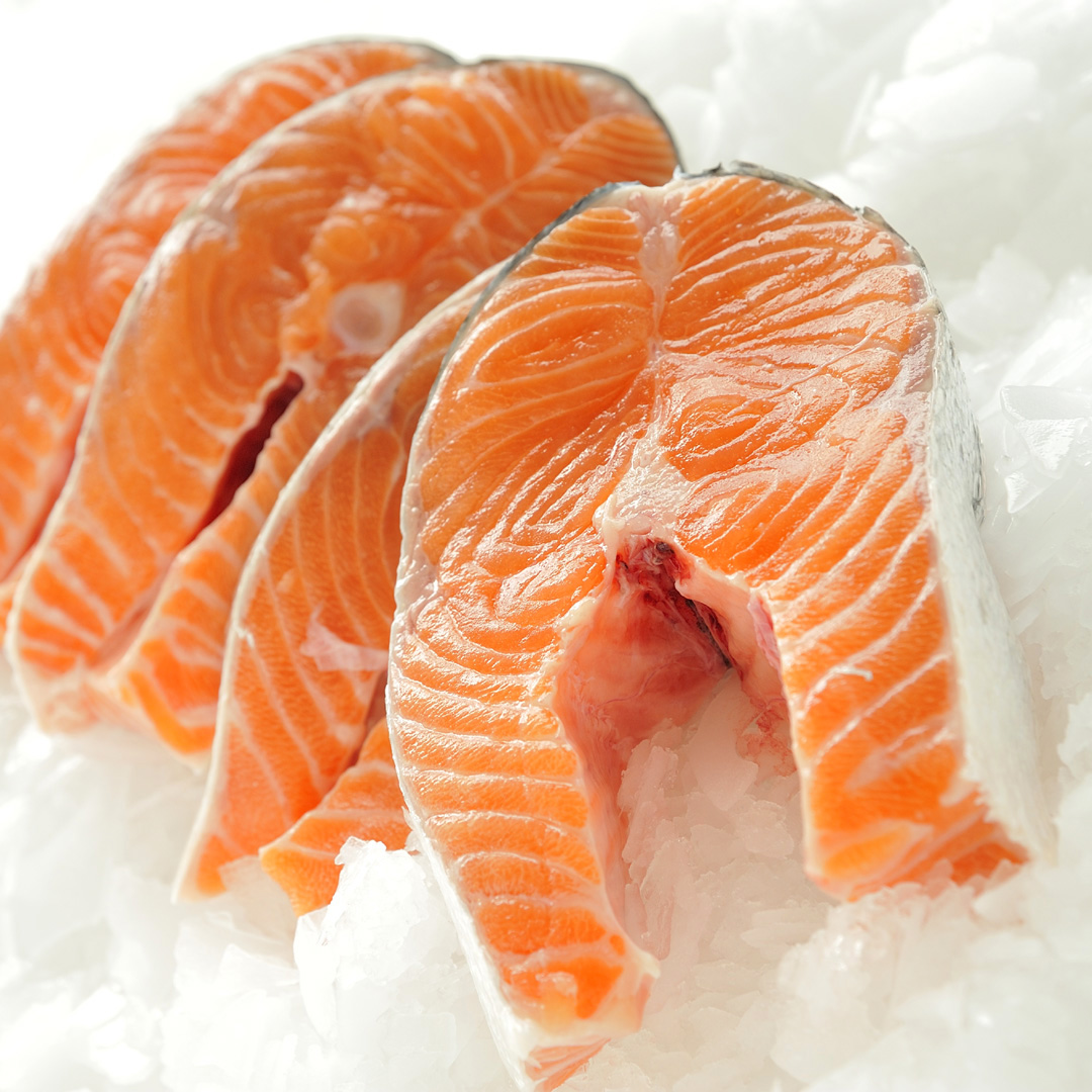 Food Photographer Bergerac, Dordogne