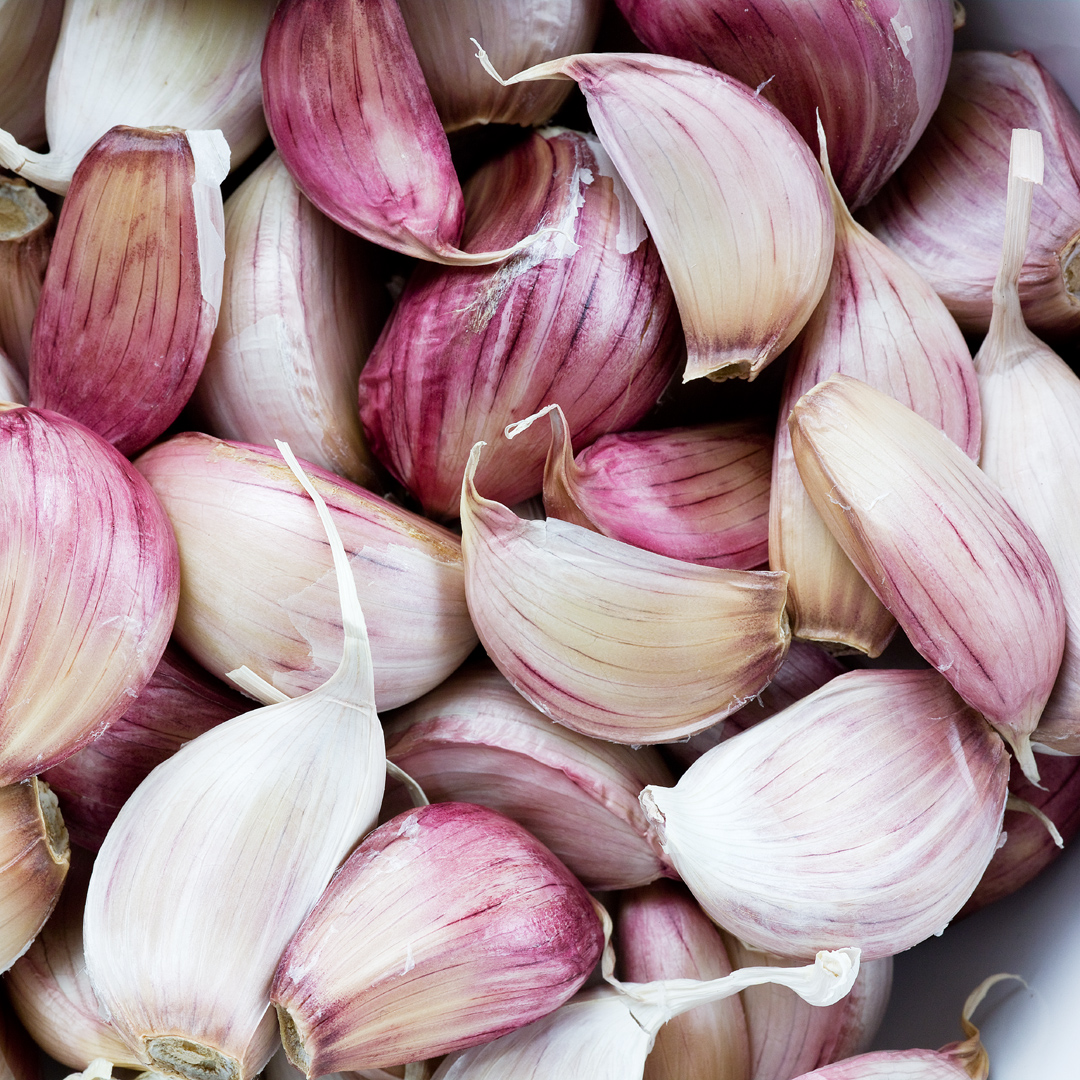 Food Photographer Bordeaux