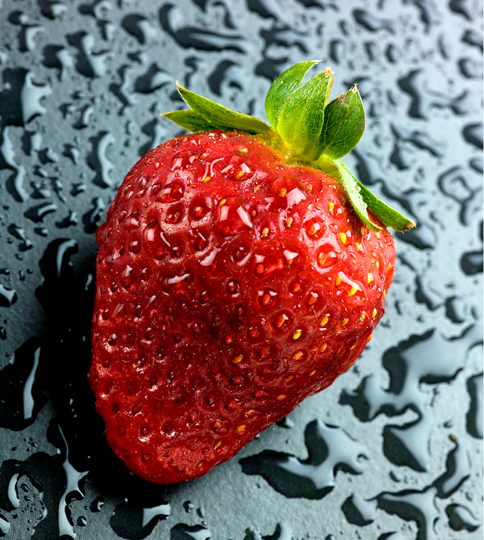 Food photographer Bergerac