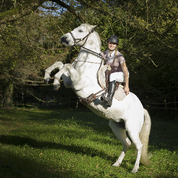 Equestrian photographers in Dordogne France | Equestrian photographer in Dordogne, Bergerac, Eymet, Perigeuex, Beaumont du Perigord, Issigeac, Villereal, Sarlat