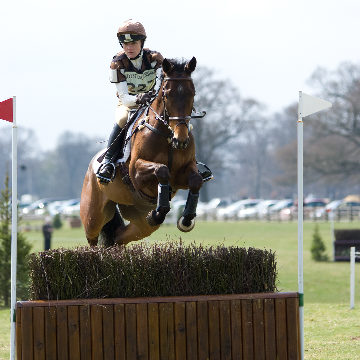 Equestrian photographers in Dordogne France | Equestrian photographer in Dordogne, Bergerac, Eymet, Perigeuex, Beaumont du Perigord, Issigeac, Villereal