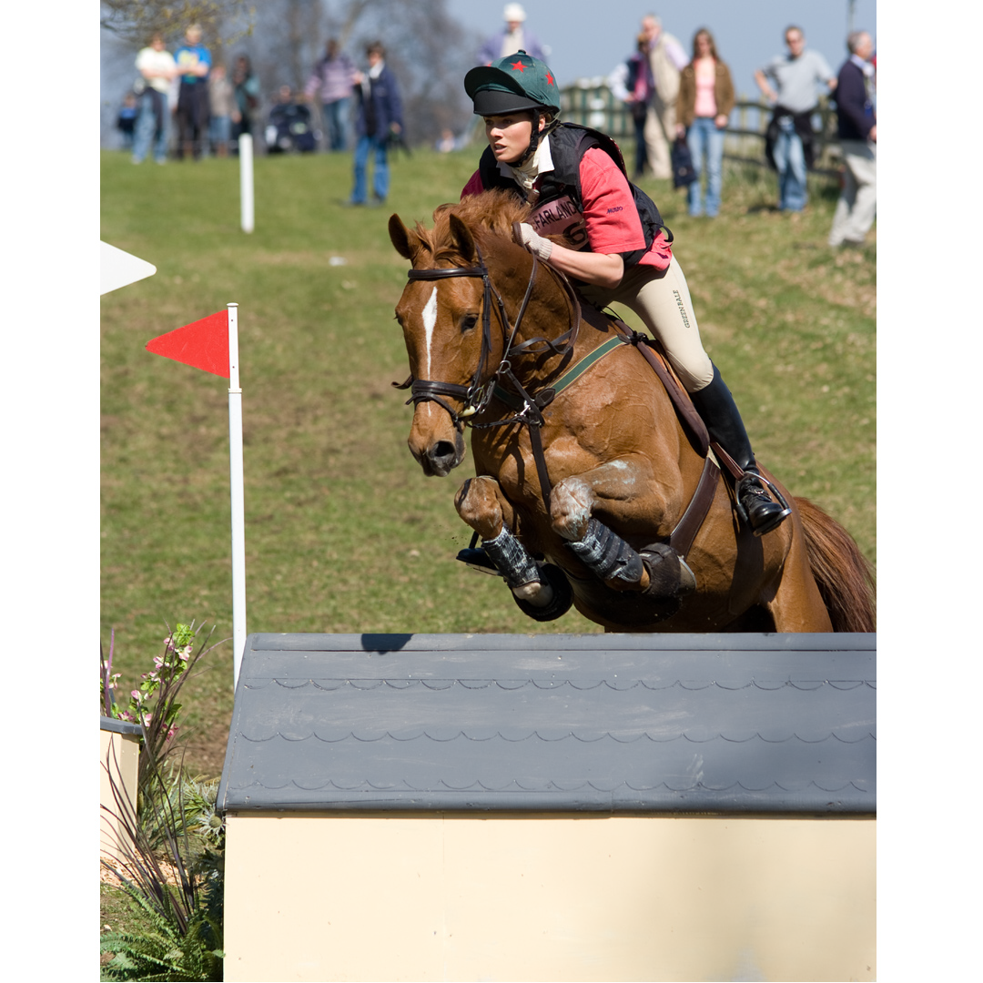 Equestrian photographers in Dordogne France | Equestrian photographer in Dordogne, Bergerac, Eymet, Perigeuex, Beaumont du Perigord, Issigeac, Villereal, Sarlat